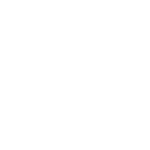 Amirica